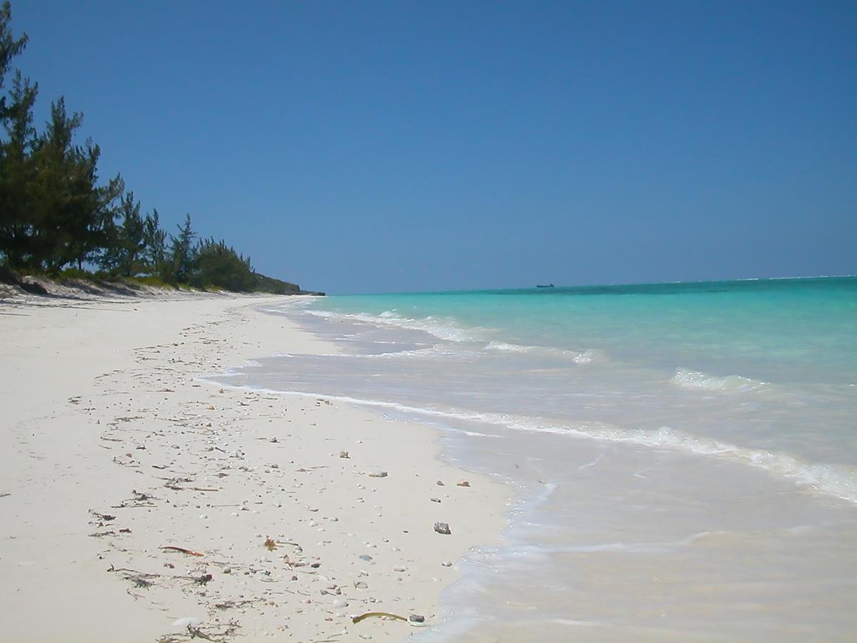 Hollywood Beach Suites Turks And Caicos Whitby Facilités photo